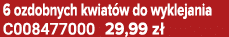6 ozdobnych kwiat w do wyklejania C008477000 29,99 z 