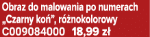 Obraz do malowania po numerach „Czarny ko ”, r nokolorowy C009084000 18,99 z 