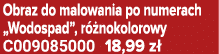 Obraz do malowania po numerach „Wodospad”, r nokolorowy C009085000 18,99 z 