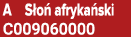 A S o afryka ski C009060000