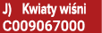 J) Kwiaty wi ni C009067000