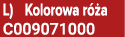 L) Kolorowa r a C009071000