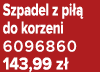 Szpadel z pi  do korzeni 6096860 143,99 z 