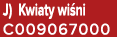 J) Kwiaty wi ni C009067000