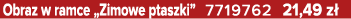 Obraz w ramce „Zimowe ptaszki” 7719762 21,49 z 