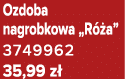 Ozdoba nagrobkowa „R a” 3749962 35,99 z 