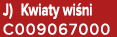 J) Kwiaty wi ni C009067000