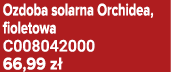 Ozdoba solarna Orchidea, fioletowa C008042000 66,99 z 