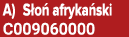 A) S o afryka ski C009060000