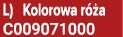 L) Kolorowa r a C009071000