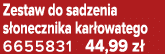 Zestaw do sadzenia s onecznika kar owatego 6655831 44,99 z 