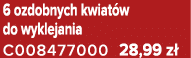 6 ozdobnych kwiat w do wyklejania C008477000 28,99 z 