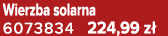 Wierzba solarna 6073834 224,99 z 