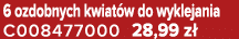 6 ozdobnych kwiat w do wyklejania C008477000 28,99 z 
