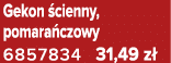 Gekon cienny, pomara czowy 6857834 31,49 z 
