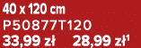40 x 120 cm P50877T120 33,99 z 28,99 z 1
