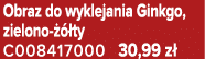 Obraz do wyklejania Ginkgo, zielono   ty C008417000 30,99 z 