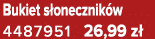 Bukiet s onecznik w 4487951 26,99 z 
