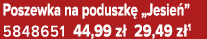 Poszewka na poduszk „Jesie ” 5848651 44,99 z  29,49 z 1