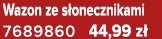 Wazon ze s onecznikami 7689860 44,99 z 
