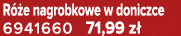 R e nagrobkowe w doniczce 6941660 71,99 z 