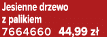 Jesienne drzewo z palikiem 7664660 44,99 z 