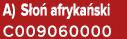 A) S o afryka ski C009060000