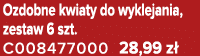 Ozdobne kwiaty do wyklejania, zestaw 6 szt. C008477000 28,99 z 