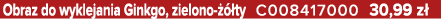 Obraz do wyklejania Ginkgo, zielono   ty C008417000 30,99 z 