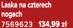 Laska na czterech nogach 7569623 134,99 z 