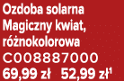 Ozdoba solarna Magiczny kwiat, r nokolorowa C008887000 69,99 z  52,99 z 1
